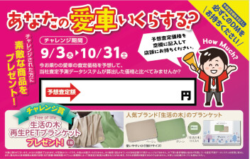 How Much？ あなたの愛車いくらする？